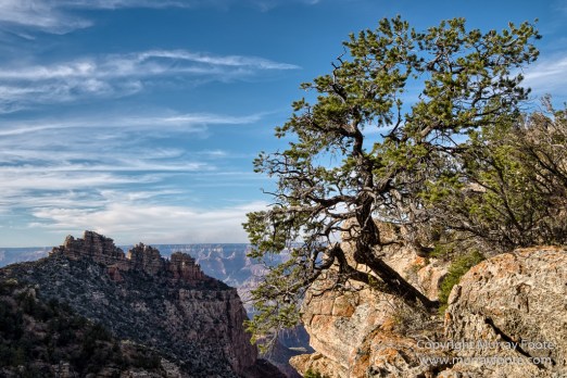 Arizona, Grand Canyon, Landscape, Photography, Southwest Canyonlands, Travel, USA