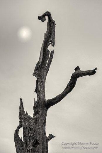 Arizona, Black and White, Grand Canyon, Infrared, Landscape, Monochrome, Night Photography, Photography, Southwest Canyonlands, Travel, USA