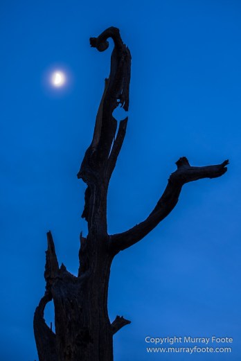 Arizona, Grand Canyon, Landscape, Photography, Southwest Canyonlands, Travel, USA