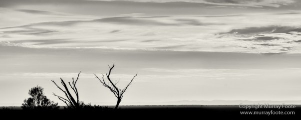 Australia, Black and White, Boolcoomatta, Boolcoomatta Station, Cars, Infrared, Landscape, Monochrome, Nature, Night Photography, Photography, South Australia, Travel
