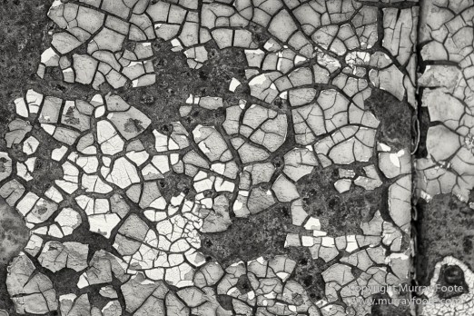 Australia, Black and White, Boolcoomatta, Boolcoomatta Station, Cars, Infrared, Landscape, Monochrome, Nature, Night Photography, Photography, South Australia, Travel