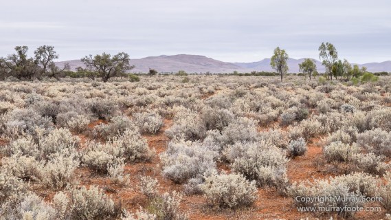 Australia, Boolcoomatta, Dome Rock, Landscape, Nature, Night Photography, Photography, South Australia, Travel