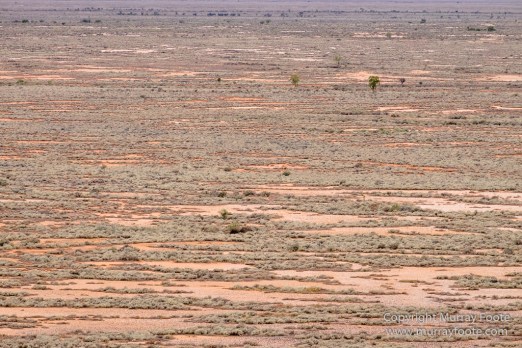 Australia, Boolcoomatta, Dome Rock, Landscape, Nature, Night Photography, Photography, South Australia, Travel