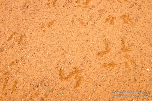 Australia, Boolcoomatta, Dome Rock, Landscape, Nature, Night Photography, Photography, South Australia, Travel
