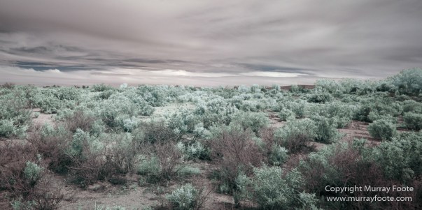 Australia, Boolcoomatta, Infrared, Landscape, Nature, Oonartra Creek, Photography, South Australia, Travel