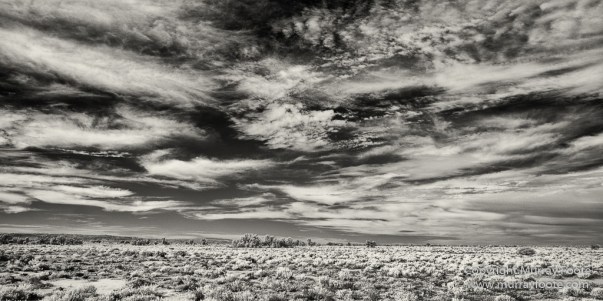 Australia, Black and White, Boolcoomatta, Boolcoomatta Station, Cars, Infrared, Landscape, Monochrome, Nature, Night Photography, Photography, South Australia, Travel