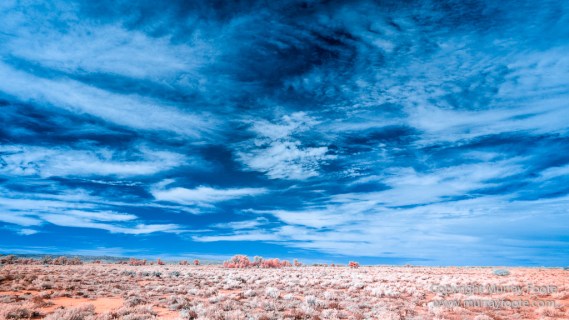 Australia, Boolcoomatta, Infrared, Landscape, Nature, Oonartra Creek, Photography, South Australia, Travel