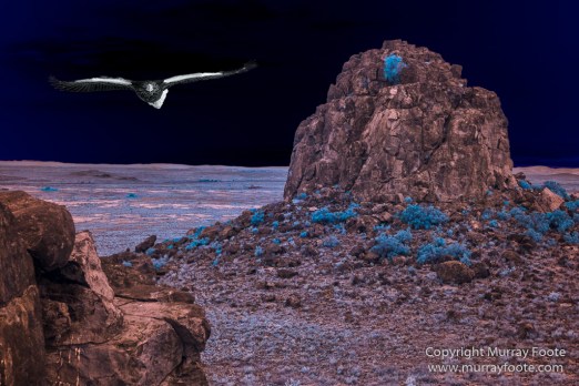 Australia, Boolcoomatta, Boolcoomatta Station, Dome Rock, Infrared, Landscape, Nature, Photography, South Australia, Travel, White's Whim and Well