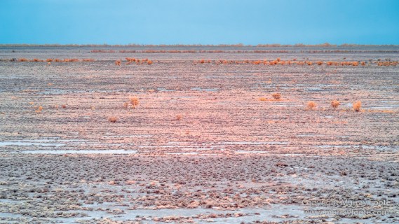 Australia, Boolcoomatta, Boolcoomatta Station, Dome Rock, Infrared, Landscape, Nature, Photography, South Australia, Travel, White's Whim and Well
