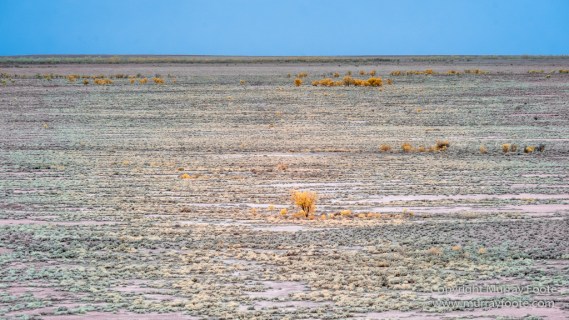Australia, Boolcoomatta, Boolcoomatta Station, Dome Rock, Infrared, Landscape, Nature, Photography, South Australia, Travel, White's Whim and Well