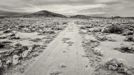 Australia, Black and White, Boolcoomatta, Boolcoomatta Station, Cars, Infrared, Landscape, Monochrome, Nature, Night Photography, Photography, South Australia, Travel
