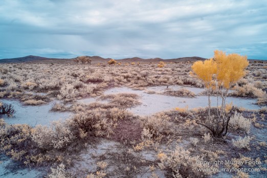 Australia, Boolcoomatta, Boolcoomatta Station, Dome Rock, Infrared, Landscape, Nature, Photography, South Australia, Travel, White's Whim and Well