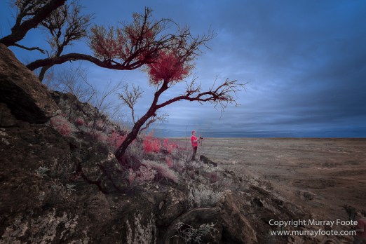Australia, Boolcoomatta, Boolcoomatta Station, Dome Rock, Infrared, Landscape, Nature, Photography, South Australia, Travel, White's Whim and Well