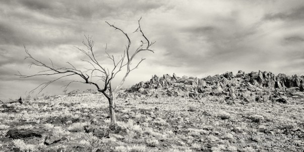 Australia, Black and White, Boolcoomatta, Boolcoomatta Station, Cars, Infrared, Landscape, Monochrome, Nature, Night Photography, Photography, South Australia, Travel