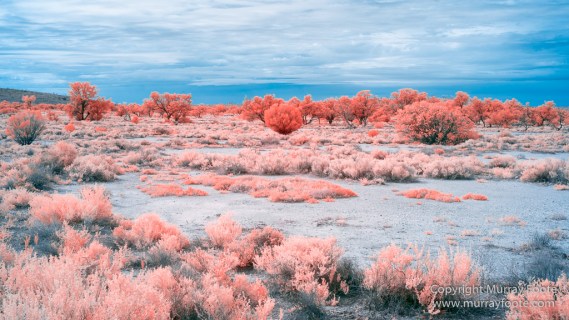 Australia, Boolcoomatta, Boolcoomatta Station, Dome Rock, Infrared, Landscape, Nature, Photography, South Australia, Travel, White's Whim and Well