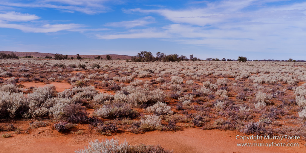 Australia, Boolcoomatta, Landscape, Night Photography, Oonartra Creek, Photography, South Australia, Travel