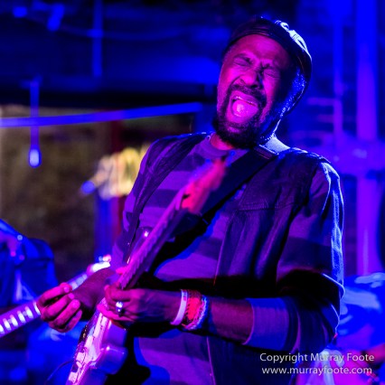 Blues, Frenchmen Street, Live Music, New Orleans, Photography, Travel, Troy Turner, USA, Vaso