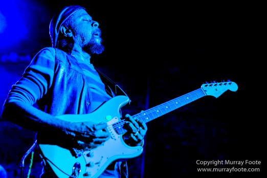 Blues, Frenchmen Street, Live Music, New Orleans, Photography, Travel, Troy Turner, USA, Vaso