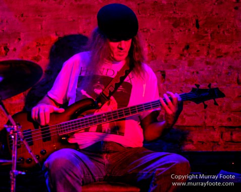 Blues, Frenchmen Street, Live Music, New Orleans, Photography, Travel, Troy Turner, USA, Vaso