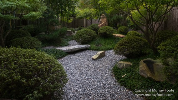 Flowers, Landscape, New Orleans, New Orleans Botanical Garden, Photography, Travel, USA