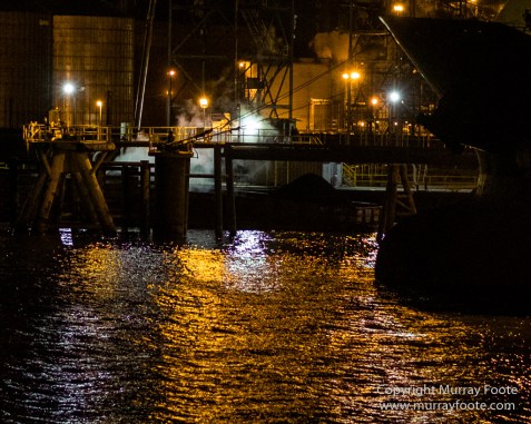 Dukes of Dixieland, Jazz, Live Music, Natchez, New Orleans, Paddle Steamer, Photography, Travel, USA