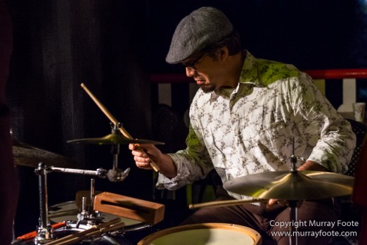 Dukes of Dixieland, Jazz, Live Music, Natchez, New Orleans, Paddle Steamer, Photography, Travel, USA