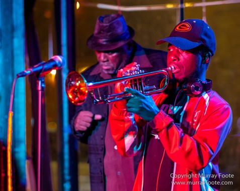Blues, Frenchmen Street, Live Music, New Orleans, Photography, Travel, USA, Vaso, Willie Lockett and the Blues Crewe
