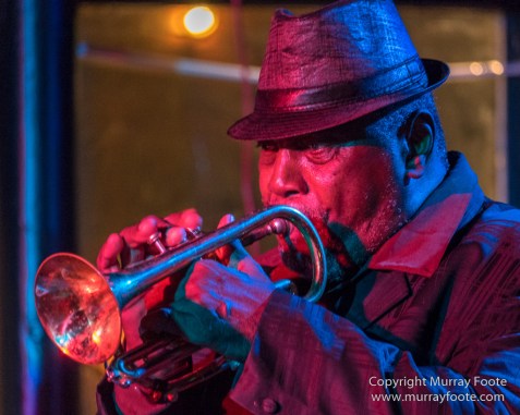Blues, Frenchmen Street, Live Music, New Orleans, Photography, Travel, USA, Vaso, Willie Lockett and the Blues Crewe