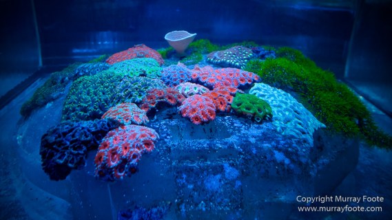 Art, Arts District, Contemporary Arts Centre, Landscape, New Orleans, Ogden Museum, Painting, Photography, Sculpture, Street photography, Travel, USA