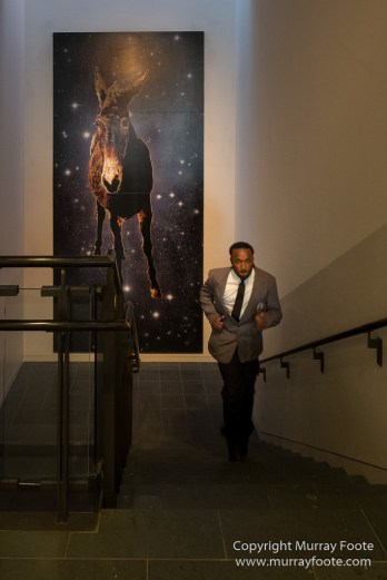 Art, Arts District, Contemporary Arts Centre, Landscape, New Orleans, Ogden Museum, Painting, Photography, Sculpture, Street photography, Travel, USA