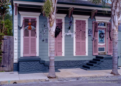 Audubon, Faubourg Marigny, Landscape, Marigny, New Orleans, Photography, Street photography, Travel, USA