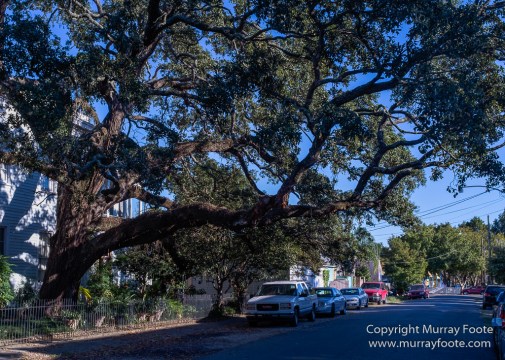 Algiers Point, Architecture, Mississippi River, New Orleans, Photography, Street photography, Travel, USA