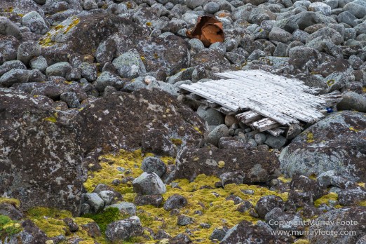Architecture, Ballstad, Buksnes Church, Eggumsveien Nature Reserve, Henningsvaer, Landscape, Lofoten Islands, Nature, Norway, Nusfjord, Photography, seascape, Travel, Boats