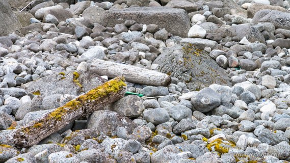 Architecture, Ballstad, Buksnes Church, Eggumsveien Nature Reserve, Henningsvaer, Landscape, Lofoten Islands, Nature, Norway, Nusfjord, Photography, seascape, Travel, Boats