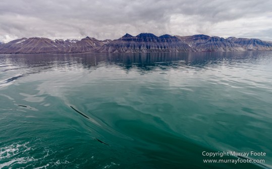 Glacier, History, Kapp Thorsden, Landscape, Longyearbyen, Photography, seascape, Spitsbergen, Travel