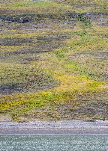 Glacier, History, Kapp Thorsden, Landscape, Longyearbyen, Photography, seascape, Spitsbergen, Travel