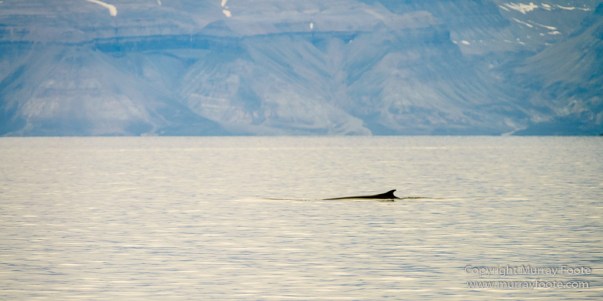 Glacier, History, Kapp Thorsden, Landscape, Longyearbyen, Photography, seascape, Spitsbergen, Travel