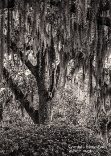 Architecture, Black and White, Monochrome, New Orleans, Photography, Street photography, Travel, USA