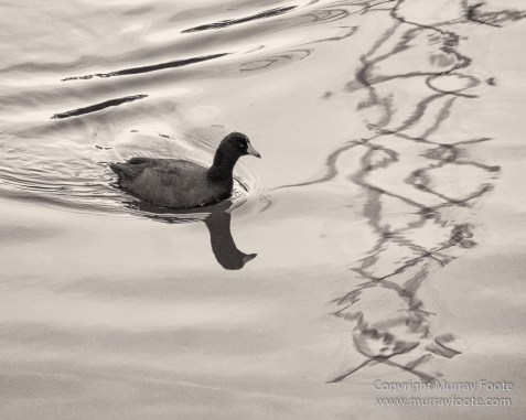 Architecture, Black and White, Monochrome, New Orleans, Photography, Street photography, Travel, USA