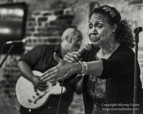 Another Day in Paradise, Black and White, Blues, Dukes of Dixieland, Jeff Chaz, Live Music, Mem Shannon, Monochrome, New Orleans, Photography, Street photography, Travel, Troy Turner, USA