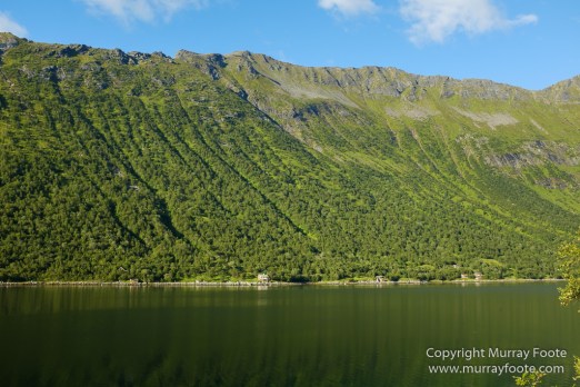 Andenes, Architecture, Boats, Gryllefjord, Hamn, History, Landscape, Lofoten Islands, Norway, Nusfjord, Photography, seascape, Travel