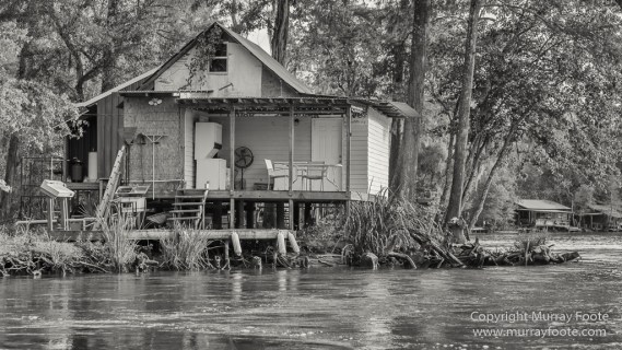 Architecture, Bayou, Black and White, Infrared, Landscape, Mississippi River, Monochrome, Nature, New Orleans, Photography, Travel, USA, Wilderness