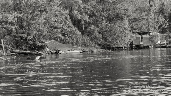 Architecture, Bayou, Black and White, Infrared, Landscape, Mississippi River, Monochrome, Nature, New Orleans, Photography, Travel, USA, Wilderness