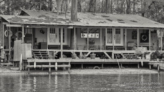 Architecture, Bayou, Black and White, Infrared, Landscape, Mississippi River, Monochrome, Nature, New Orleans, Photography, Travel, USA, Wilderness