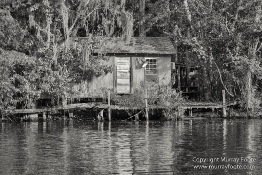 Architecture, Bayou, Black and White, Infrared, Landscape, Mississippi River, Monochrome, Nature, New Orleans, Photography, Travel, USA, Wilderness