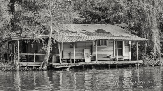 Architecture, Bayou, Black and White, Infrared, Landscape, Mississippi River, Monochrome, Nature, New Orleans, Photography, Travel, USA, Wilderness