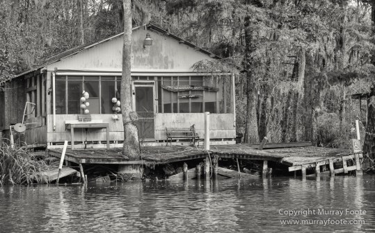 Architecture, Bayou, Black and White, Infrared, Landscape, Mississippi River, Monochrome, Nature, New Orleans, Photography, Travel, USA, Wilderness