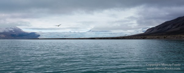 History, Landscape, Longyearbyen, Nordenskiöld Glacier, Photography, seascape, Spitsbergen, Travel