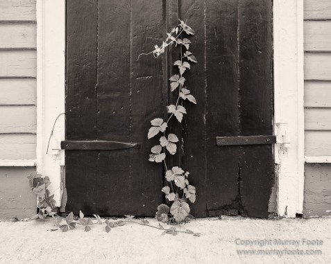 Architecture, Black and White, Monochrome, New Orleans, Photography, Street photography, Travel, USA