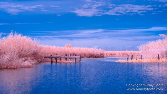 Bayou, Infrared, Landscape, Mississippi River, Nature, New Orleans, Photography, Travel, USA, Wilderness